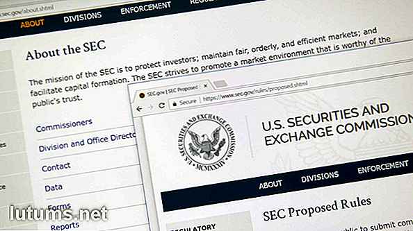 US Securities and Exchange Commission (SEC) Geschiedenis en fraudezaken