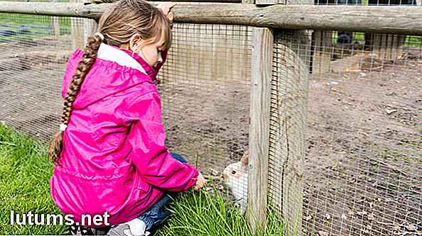 Kaninchen für Fleisch anheben - Kosten, Gesetzmäßigkeiten und wie man Landwirtschaft anfängt