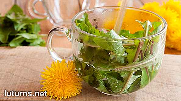 5 Dandelion Greens-recepten voor salade en meer