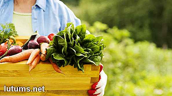 Comment économiser sur les aliments naturels, les produits de santé holistiques et les remèdes