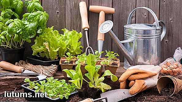 8 Tips en ideeën voor tuinieren om meer te groeien en afval te verminderen