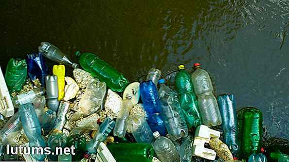Come riciclare la plastica - Fatti e motivi per cui dovresti iniziare