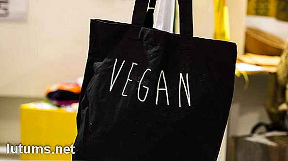 Wie kaufen Vegan und Herbivore Schuhe, Kleidung und Accessoires