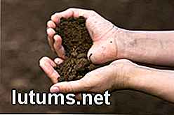 Compostaggio 101: come rendere Compost e fertilizzante a casa