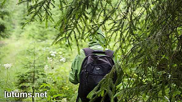Wat te doen als je verdwaalt in het bos - Vind je weg zonder hulp